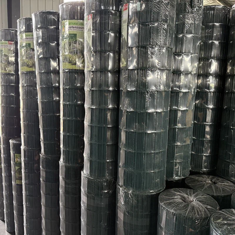 IMG1242001 IMG1242001